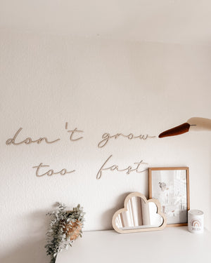 Schriftzug - don‘t grow too fast