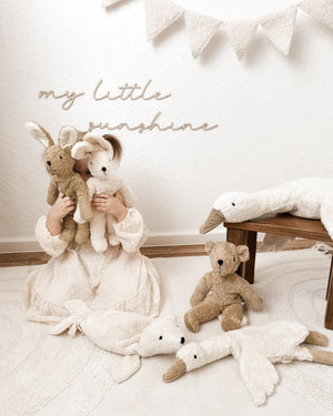 Schriftzug my little sunshine