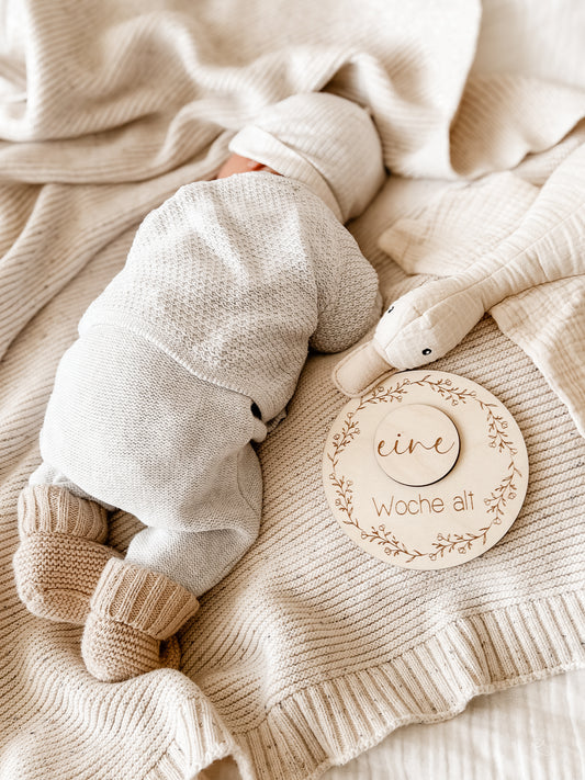 Meilensteinkarten - Baby erstes Jahr mit Einlegescheiben