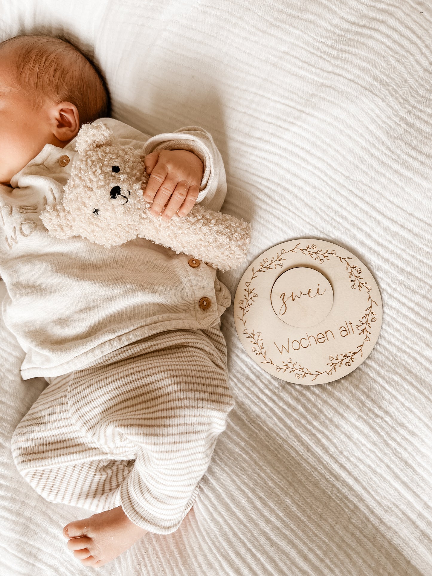 Meilensteinkarten - Baby erstes Jahr mit Einlegescheiben