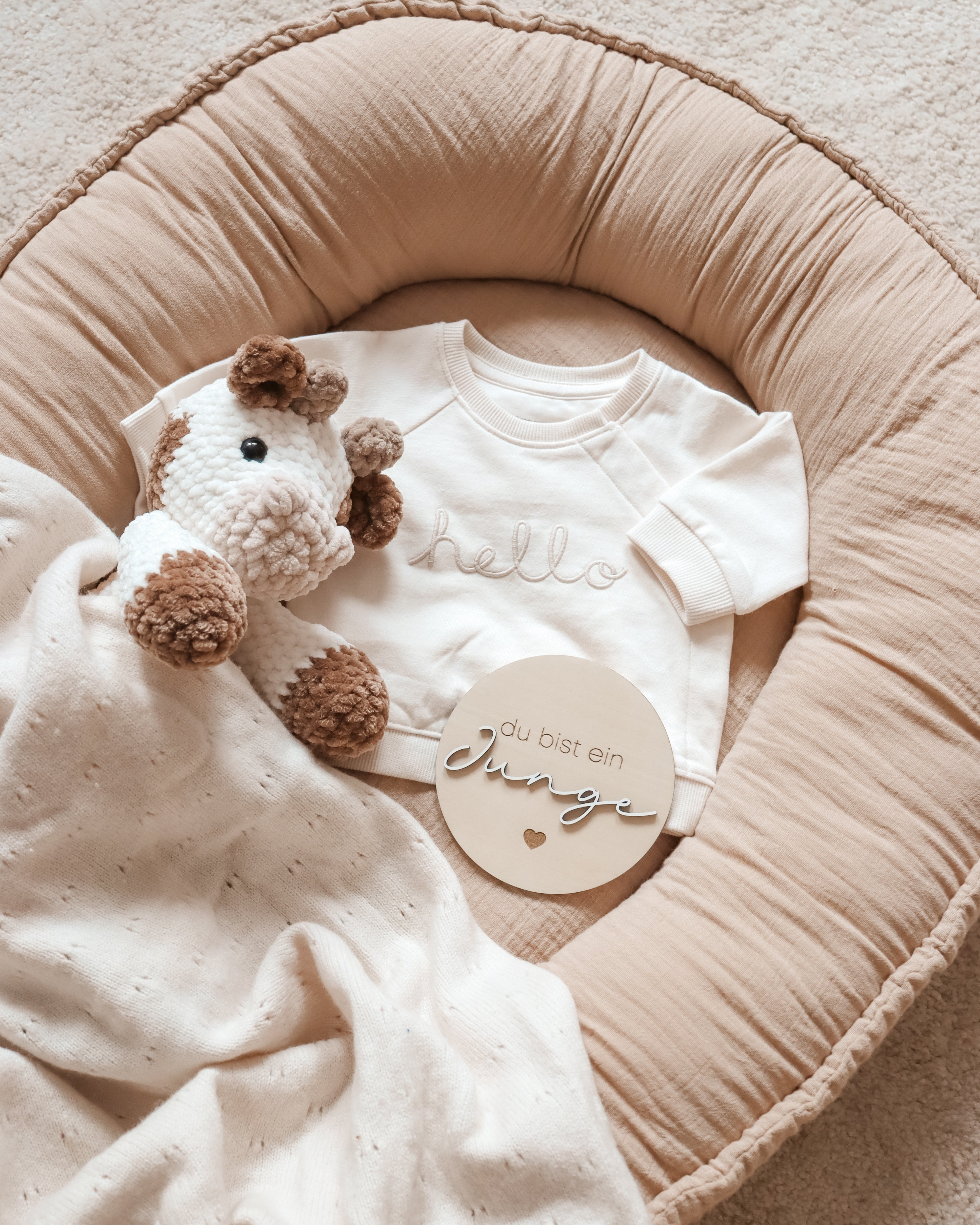 du bist ein Junge / Mädchen Meilensteinkarte - Holzschilder für unvergessliche Baby-Momente