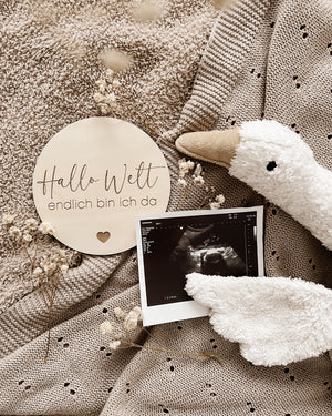 Hallo Welt - endlich bin ich da - Holztafel