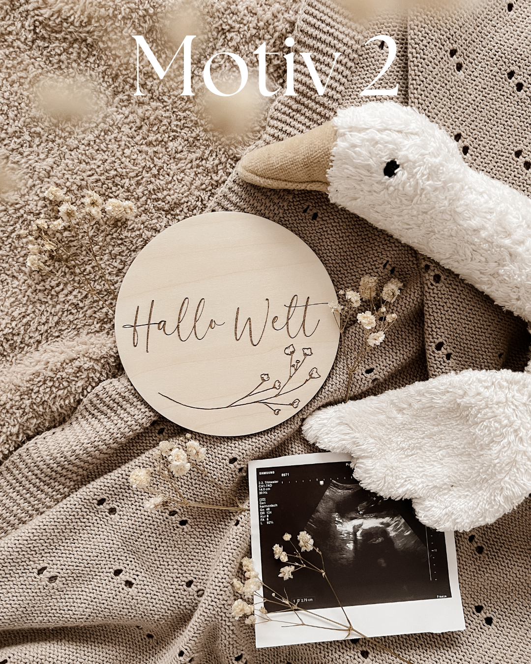 Hallo Welt Meilensteinkarte - Holzschilder für unvergessliche Baby-Momente - Motiv 2