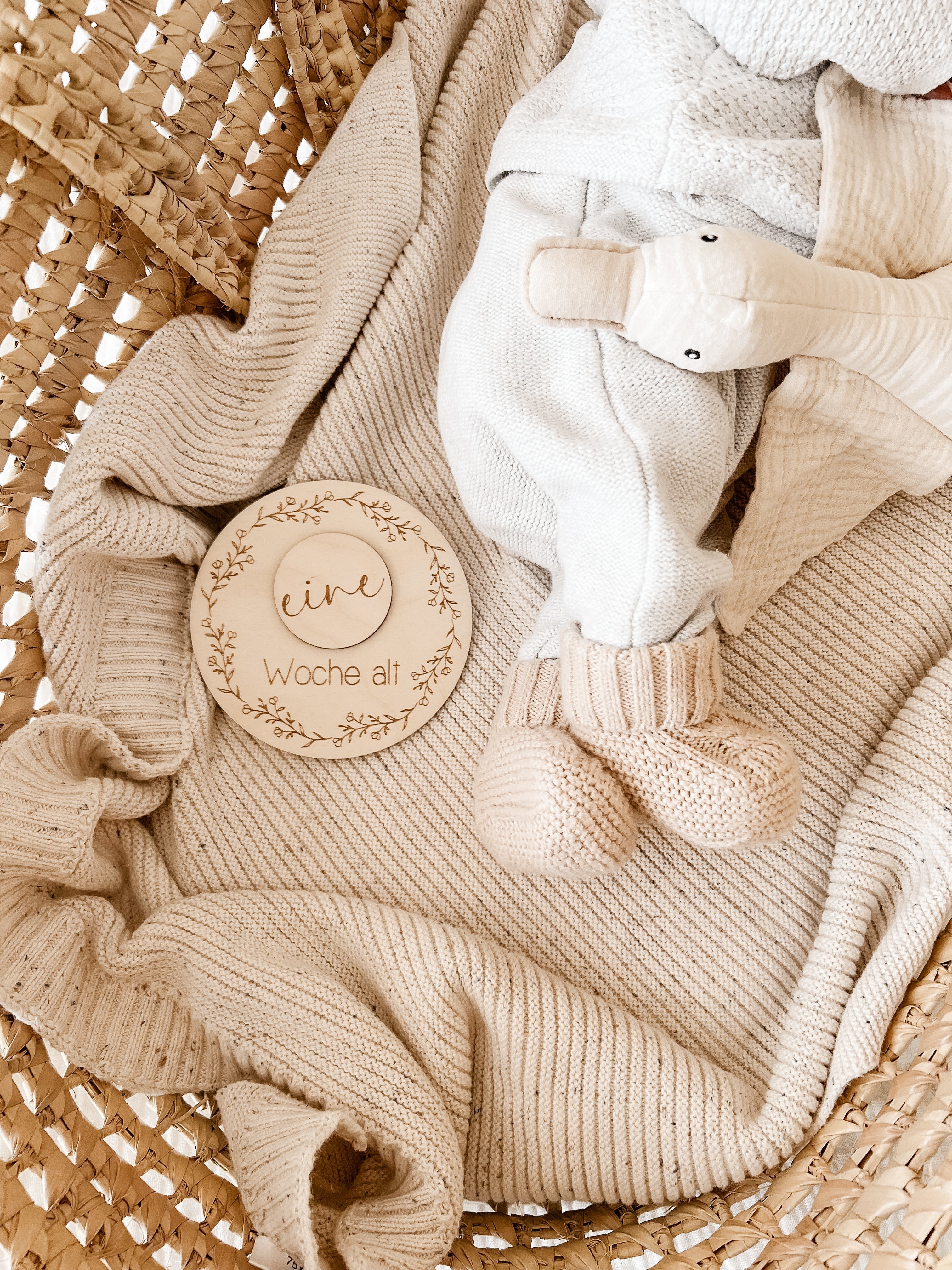 Meilensteinkarten - Baby erstes Jahr mit Einlegescheiben - BohoWildflowerVibes