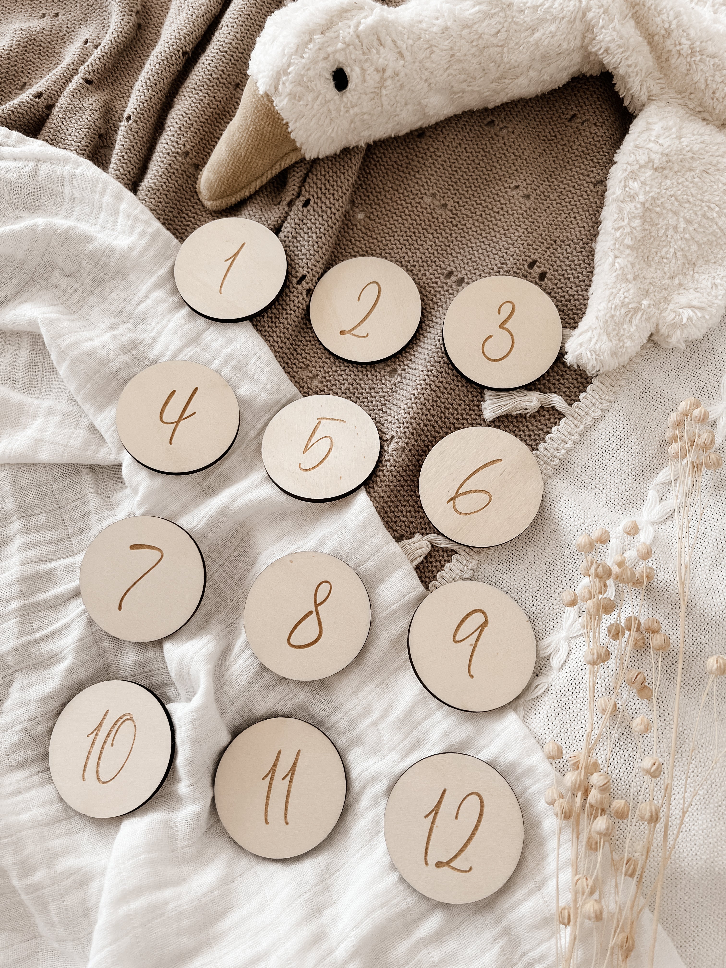 Meilensteinkarten - Baby erstes Jahr mit Einlegescheiben - BohoWildflowerVibes