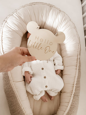 Teddy Tafel - hello little one Schild Dekoration für Babyzimmer und Kinderzimmer zum aufhängen